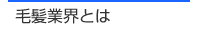 �є��ƊE�Ƃ�
